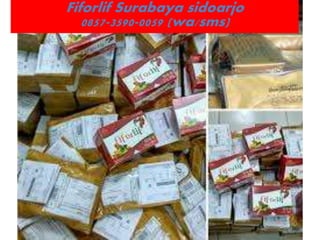 Fiforlif Surabaya sidoarjo
0857-3590-0059 (wa/sms)
 