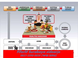 Fiforlif Surabaya sidoarjo
0857-3590-0059 (wa/sms)
 