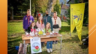 Дан јабуке у Вожду, традционални породични догађај у Вожду