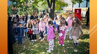 Дан јабуке у Вожду, традционални породични догађај у Вожду