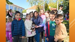 Дан јабуке у Вожду, традционални породични догађај у Вожду