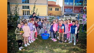 Дан јабуке у Вожду, традционални породични догађај у Вожду