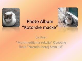 Photo Album
   “Kotorske mačke”
            by User
“Multimedijalna sekcija” Osnovne
 škole “Narodni heroj Savo Ilić”
 