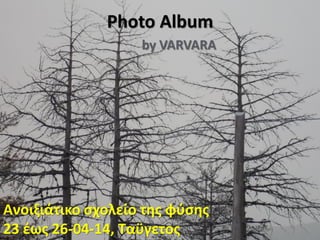 Photo Album
by VARVARA
Ανοιξιάτικο σχολείο της φύσης
23 έως 26-04-14, Ταϋγετος
 