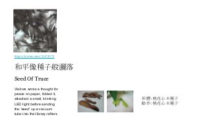 Seed Of Truce
Visitors wrote a thought for
peace on paper, folded it,
attached a small, blinking
LED light before sending
the 'seed' up a vacuum
tube into the library rafters.
形體：桃花心木種子
動作：桃花心木種子
https://vimeo.com/12678173
和平像種子般灑落
 