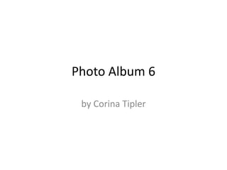 Photo Album 6 by Corina Tipler 