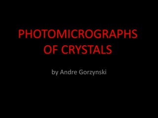 PHOTOMICROGRAPHS OF CRYSTALS Photo Album by Andre Gorzynski 