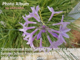Photo Album
by VARVARA
“Environmental Protection and the World of Work”
Summer School Programme, July 13th – July 18th
2014, Marathon, Attica, Greece
 