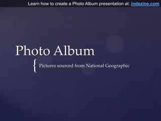 Photo Album,[object Object],Pictures sourced from National Geographic,[object Object],Learn how to create a Photo Album presentation at: indezine.com,[object Object]