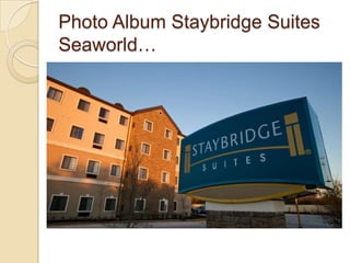 Photo Album Staybridge Suites Seaworld… 