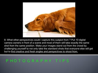 P H O T O G R A P H Y T I P S
8. What other perspectives could I capture this subject from ? Put 10 digital
camera owners in front of a scene and most of them will take exactly the same
shot from the same position. Make your images stand out from the crowd by
challenging yourself to not only take the standard shots that everyone else will get
but to find creative and fresh angles and perspectives to shoot from.
 