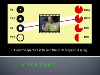 A P E R T U R E
1. Here the aperture is f/4 and the shutter speed is 1/125.
 