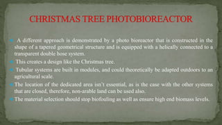  A different approach is demonstrated by a photo bioreactor that is constructed in the
shape of a tapered geometrical structure and is equipped with a helically connected to a
transparent double hose system.
 This creates a design like the Christmas tree.
 Tubular systems are built in modules, and could theoretically be adapted outdoors to an
agricultural scale.
 The location of the dedicated area isn’t essential, as is the case with the other systems
that are closed, therefore, non-arable land can be used also.
 The material selection should stop biofouling as well as ensure high end biomass levels.
 