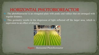  The photobioreactor is an elongated plate with peaks and valleys that are arranged with
regular distance.
 This geometry results in the dispersion of light reflected off the larger area, which is
equivalent to an effect of dilution.
Figure : Horizontal Photobioreactor
 