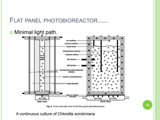 Photobioreactors