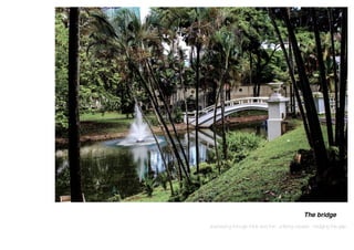 Journeying through thick and thin, unifying causes , bridging the gap
The bridge
 