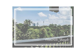 Concrete Jungle
 