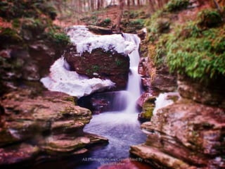 All Photographs are Copyrighted By Michael Fisher