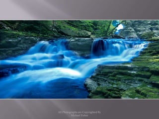 All Photographs are Copyrighted By Michael Fisher