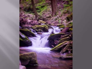 All Photographs are Copyrighted By Michael Fisher