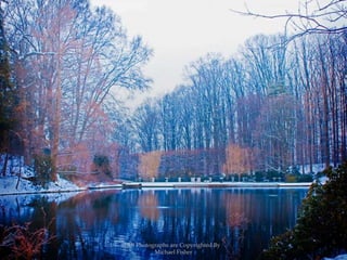 All Photographs are Copyrighted By Michael Fisher