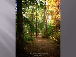 All Photographs are Copyrighted By Michael Fisher