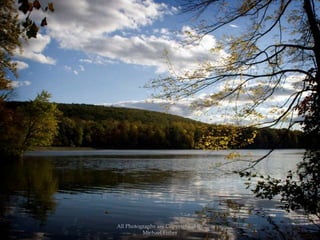 All Photographs are Copyrighted By Michael Fisher
