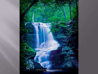 All Photographs are Copyrighted By Michael Fisher