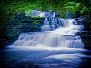 All Photographs are Copyrighted By Michael Fisher