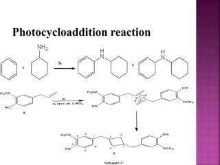Photocycloaddition reaction
 