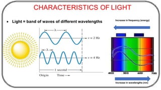 CHARACTERISTICS OF LIGHT
• Light = band of waves of different wavelengths
Increase in wavelengths (nm)
Increase in frequency (energy)
 