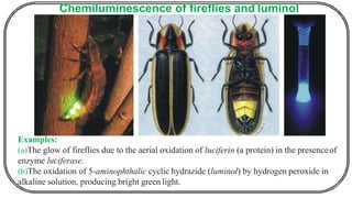 Chemiluminescence of fireflies and luminol
Examples:
(a)The glow of fireflies due to the aerial oxidation of luciferin (a protein) in the presenceof
enzyme luciferase.
(b)The oxidation of 5-aminophthalic cyclic hydrazide (luminol) by hydrogen peroxide in
alkaline solution, producing bright green light.
 