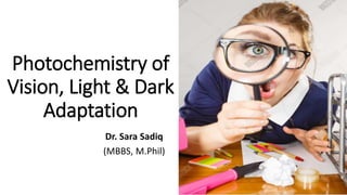 Photochemistry of
Vision, Light & Dark
Adaptation
Dr. Sara Sadiq
(MBBS, M.Phil)
 