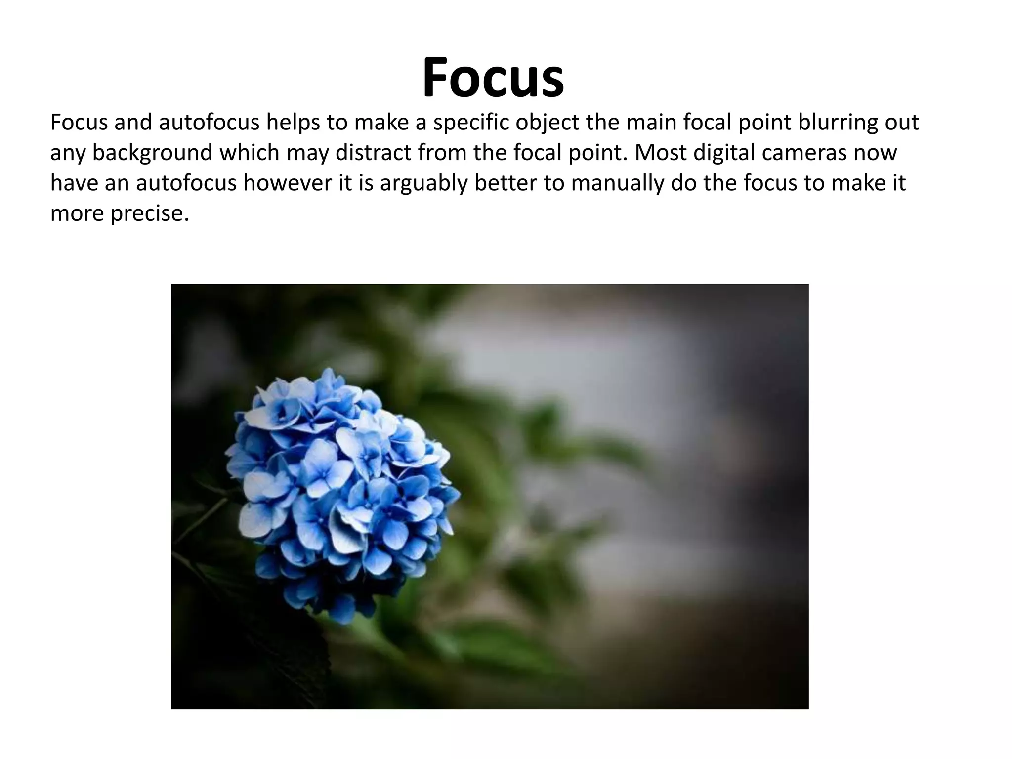 Focus
Focus and autofocus helps to make a specific object the main focal point blurring out
any background which may distract from the focal point. Most digital cameras now
have an autofocus however it is arguably better to manually do the focus to make it
more precise.
 
