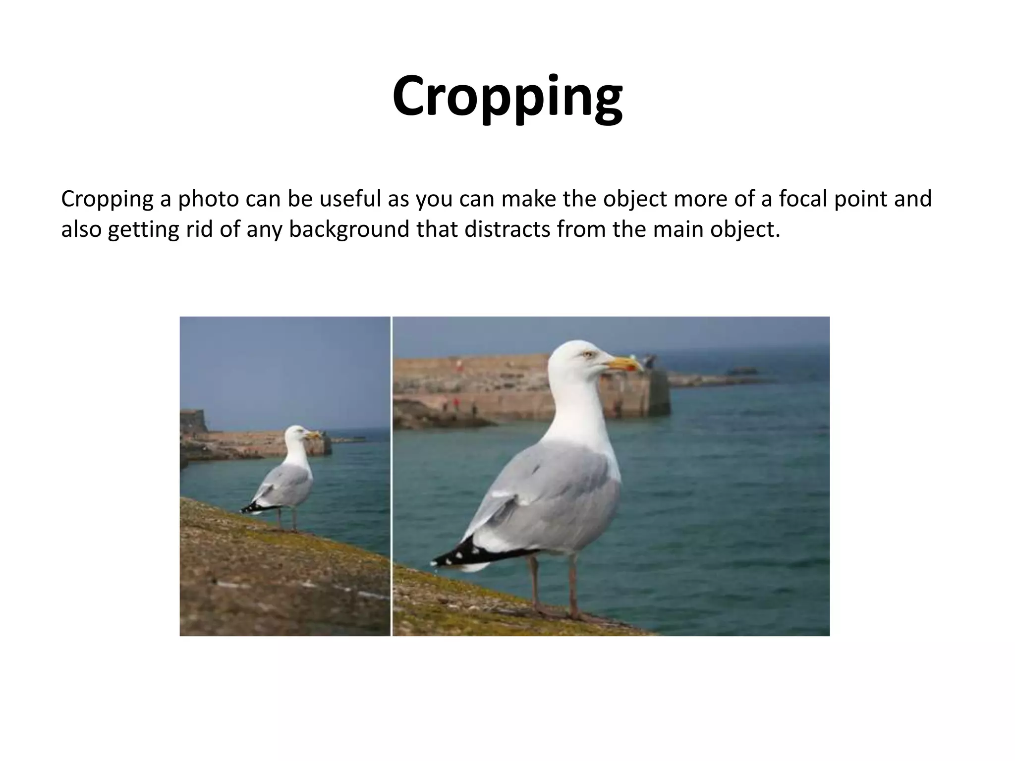 Cropping
Cropping a photo can be useful as you can make the object more of a focal point and
also getting rid of any background that distracts from the main object.
 