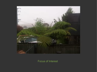 Focus of Interest
 