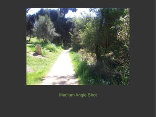 Medium Angle Shot
 