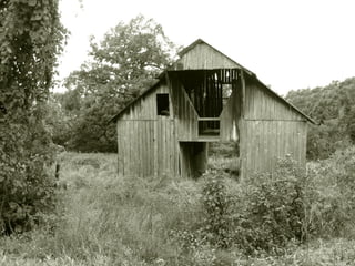 Photo Composition  |  Texture