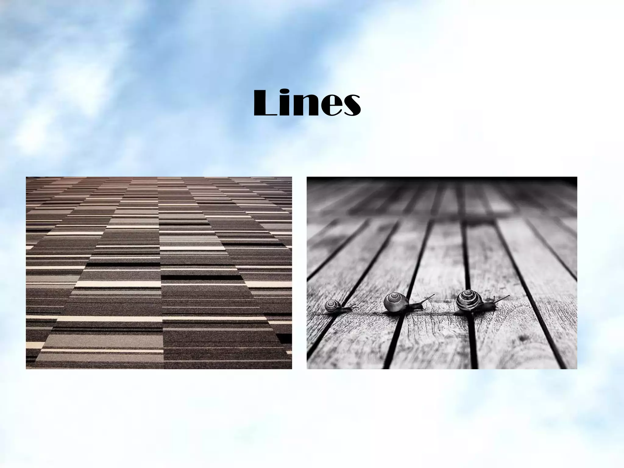 Photo composition rules slide show | PPTX