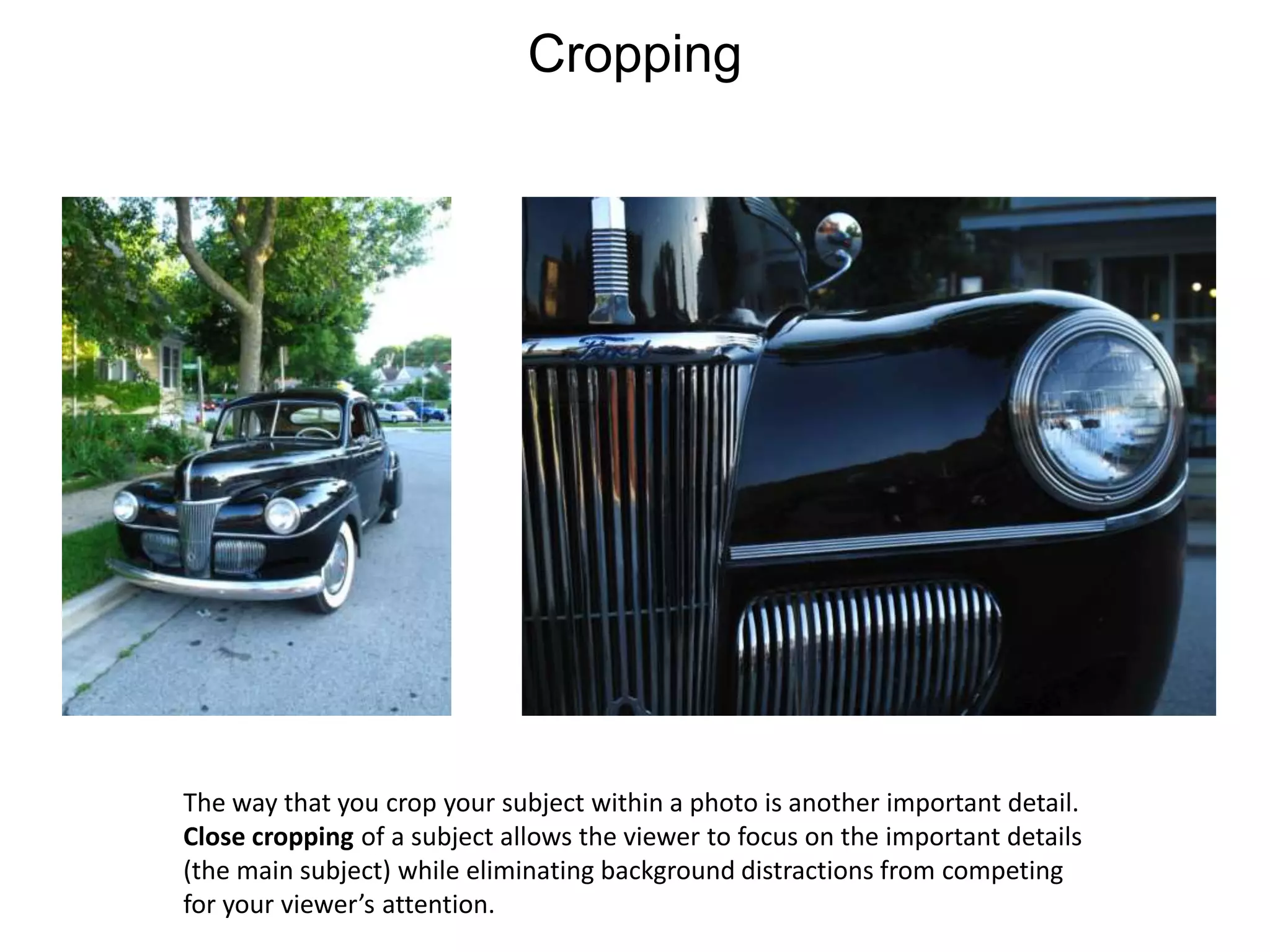 CroppingThe way that you crop your subject within a photo is another important detail.Close cropping of a subject allows the viewer to focus on the important details(the main subject) while eliminating background distractions from competing for your viewer’s attention.  