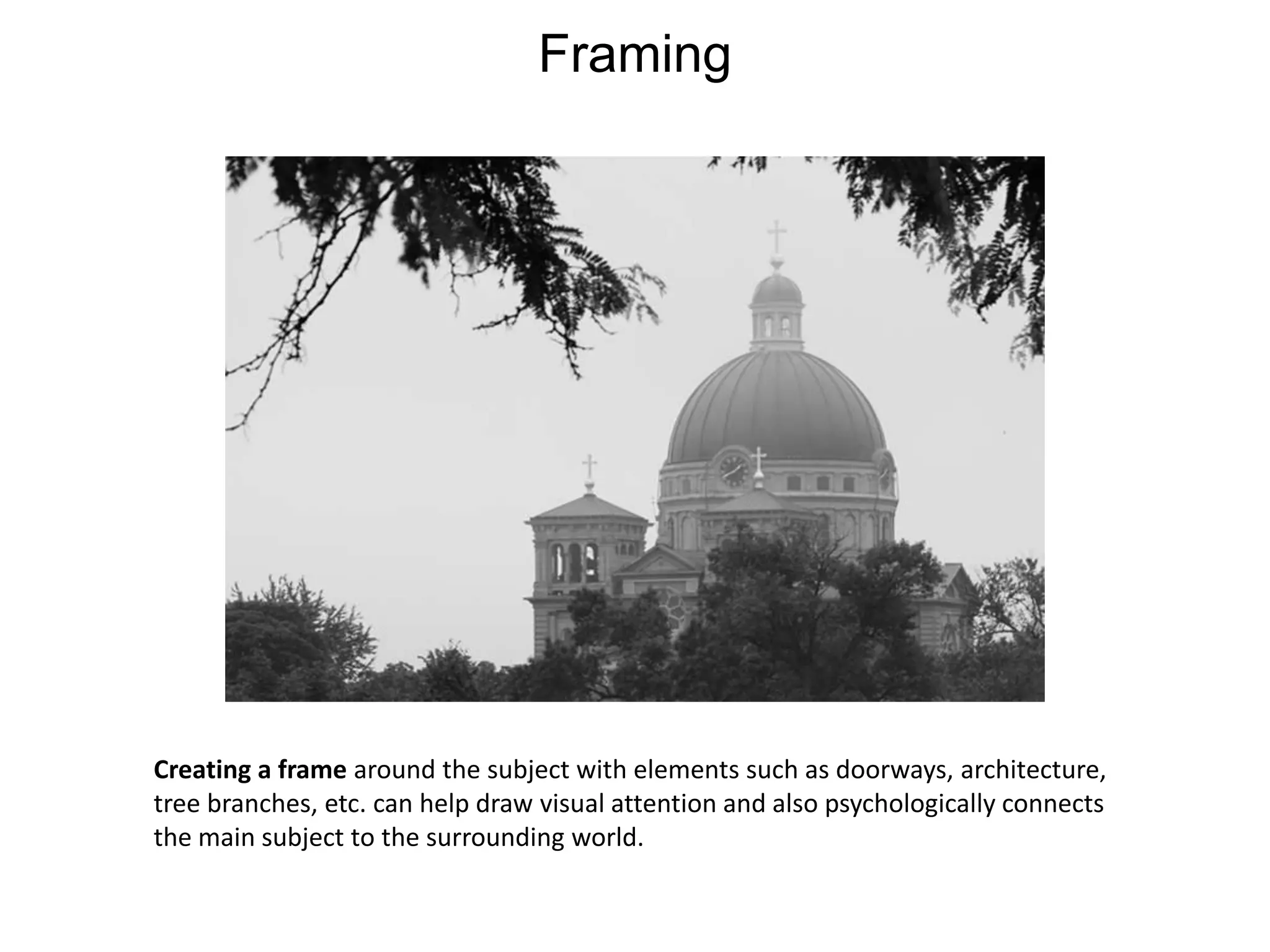 FramingCreating a frame around the subject with elements such as doorways, architecture, tree branches, etc. can help draw visual attention and also psychologically connects the main subject to the surrounding world.