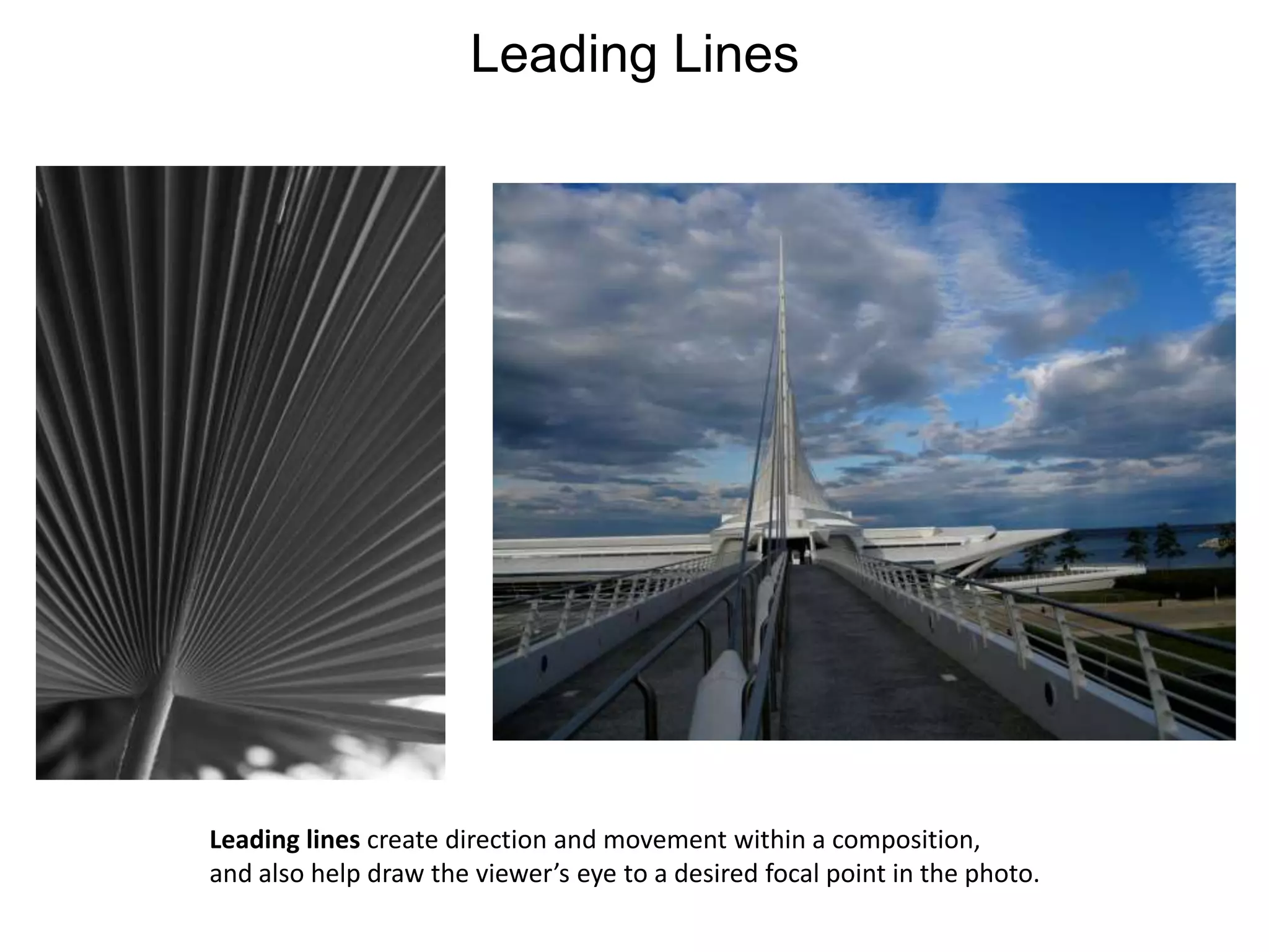 Leading LinesLeading lines create direction and movement within a composition, and also help draw the viewer’s eye to a desired focal point in the photo.