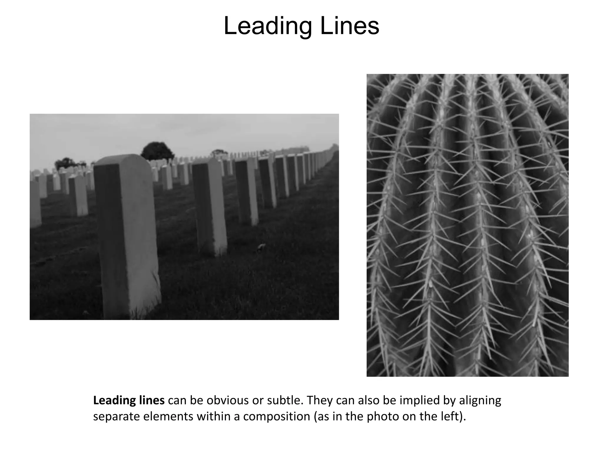 Leading LinesLeading lines can be obvious or subtle. They can also be implied by aligning separate elements within a composition (as in the photo on the left).