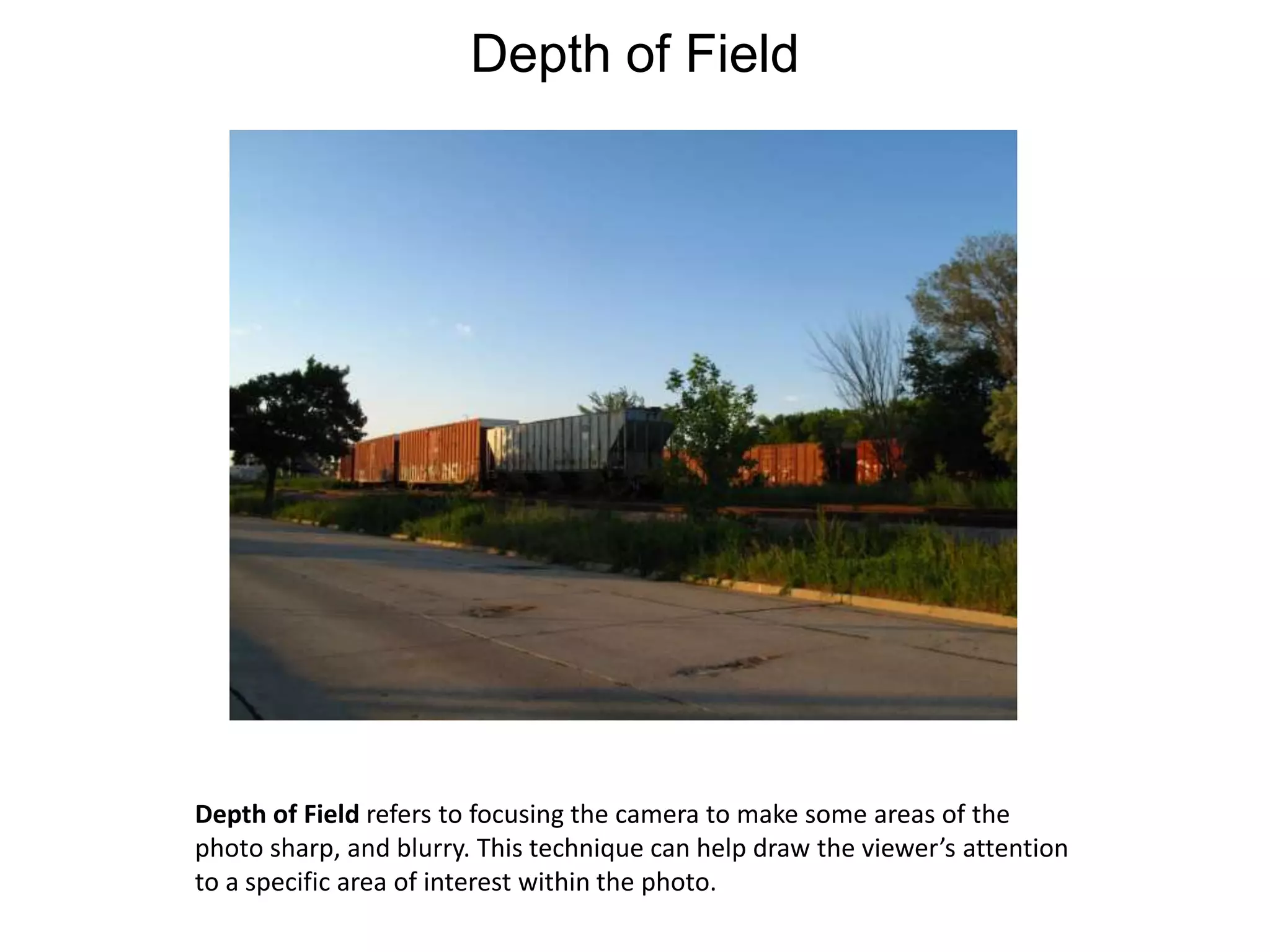 Depth of FieldDepth of Field refers to focusing the camera to make some areas of thephoto sharp, and blurry. This technique can help draw the viewer’s attention to a specific area of interest within the photo.