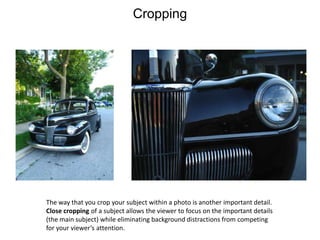 CroppingThe way that you crop your subject within a photo is another important detail.Close cropping of a subject allows the viewer to focus on the important details(the main subject) while eliminating background distractions from competing for your viewer’s attention.  