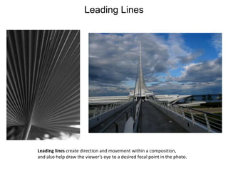 Leading LinesLeading lines create direction and movement within a composition, and also help draw the viewer’s eye to a desired focal point in the photo.