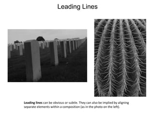 Leading LinesLeading lines can be obvious or subtle. They can also be implied by aligning separate elements within a composition (as in the photo on the left).