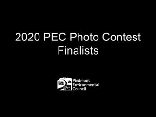 2020 PEC Photo Contest
Finalists
 