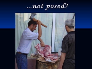 ……not posed?not posed?
 