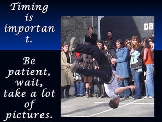 TimingTiming
isis
importanimportan
t.t.
BeBe
patient,patient,
wait,wait,
take a lottake a lot
ofof
pictures.pictures.
 